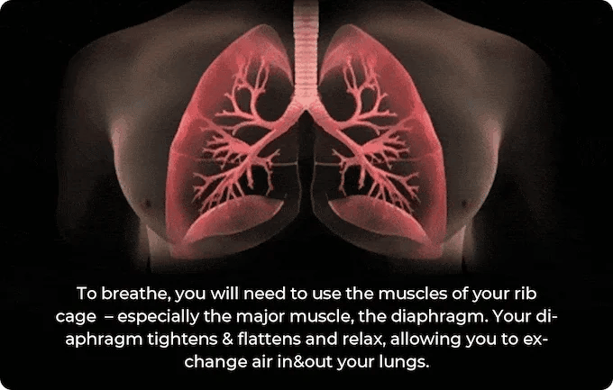 Joy Pro Science-Backed RMT device