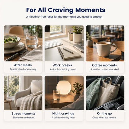 joy pro for all craving moments